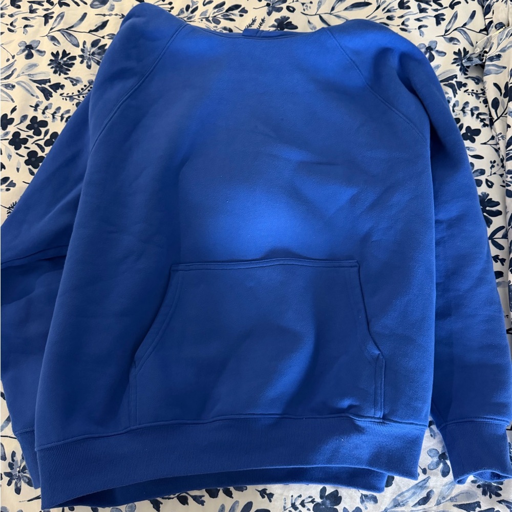 Aritzia Cozy Sweatfleece Perfect Hoodie
